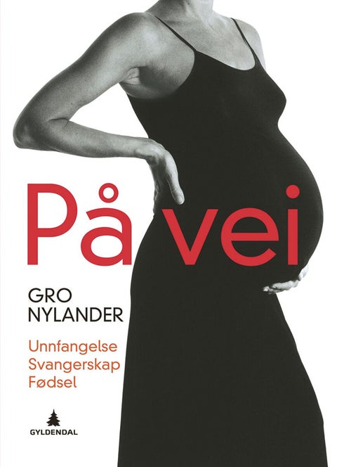 På vei - unnfangelse, svangerskap, fødsel