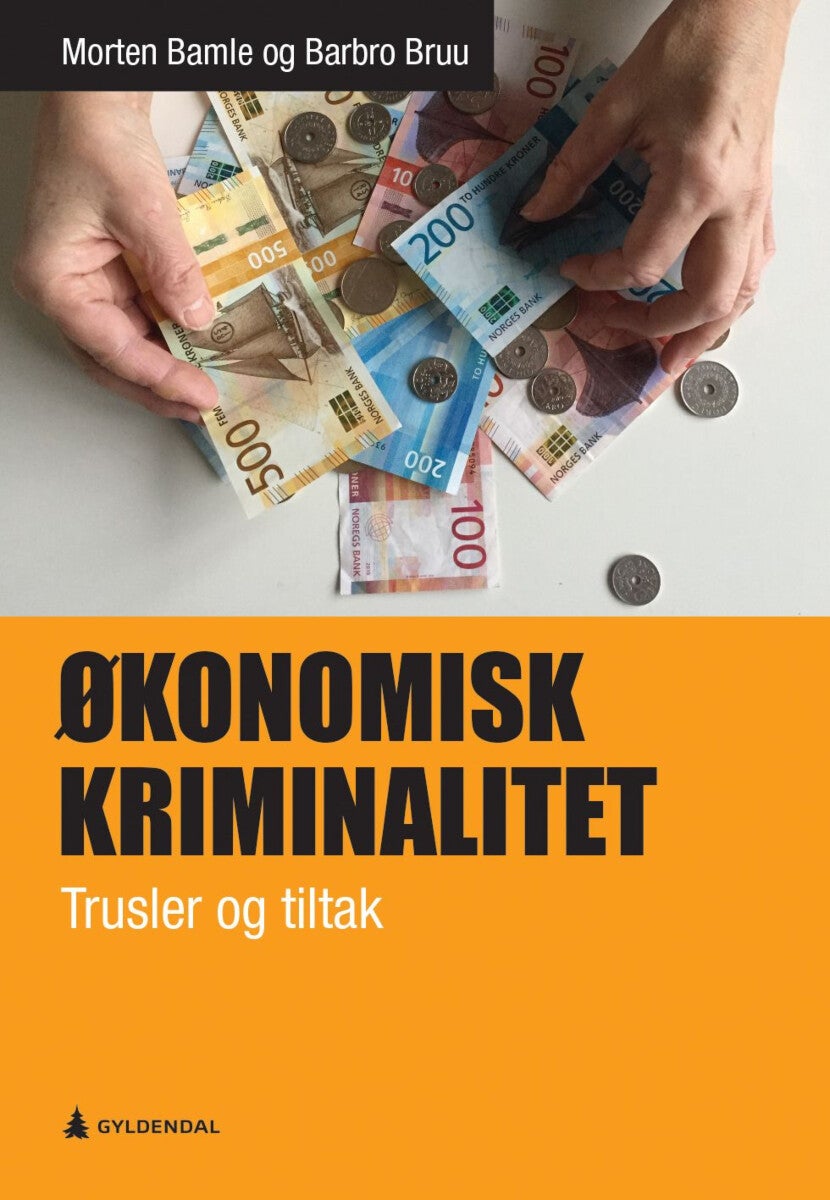 Økonomisk kriminalitet - trusler og tiltak