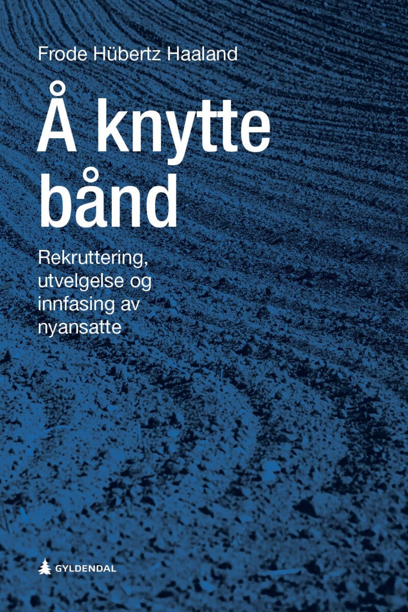 Å knytte bånd - rekruttering, utvelgelse og innfasing av nyansatte