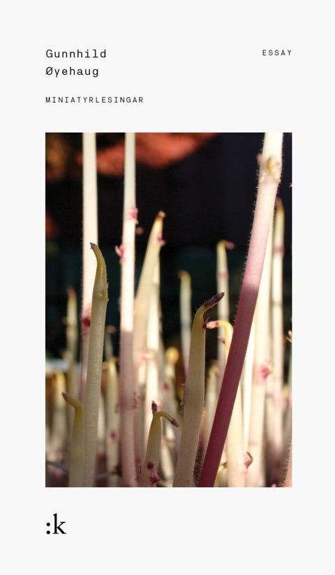 Miniatyrlesingar - 19 tekstar om litteratur