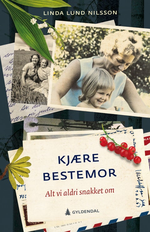 Kjære bestemor - alt vi aldri snakket om