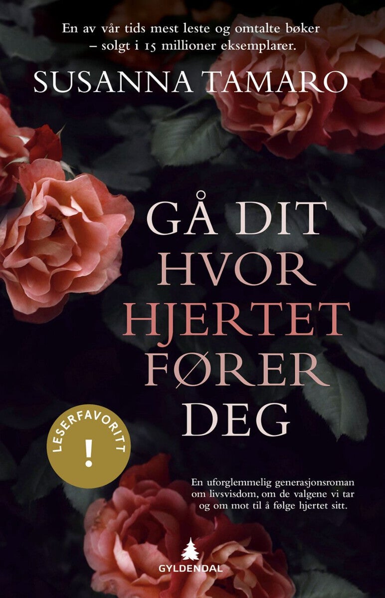 Gå dit hvor hjertet fører deg - roman