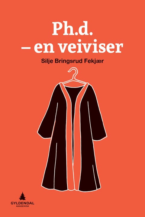 Ph.d. - en veiviser