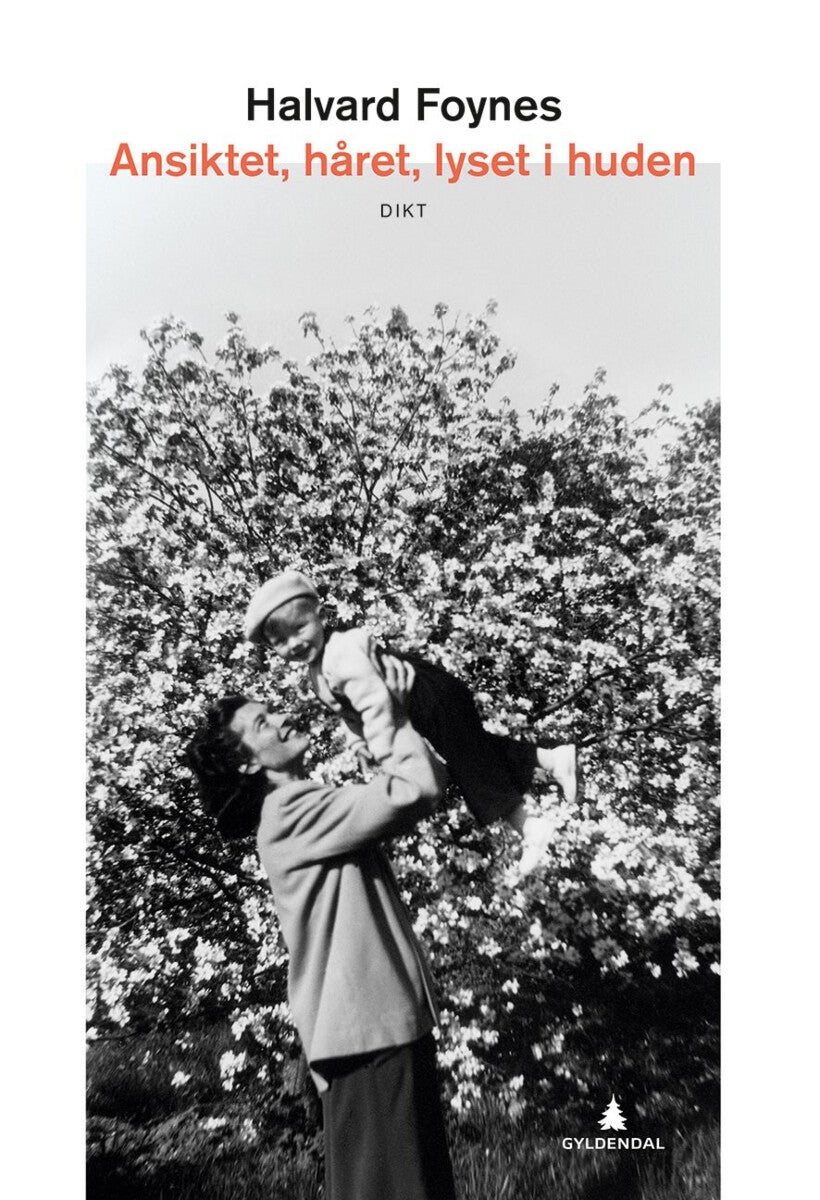 Ansiktet, håret, lyset i huden - dikt