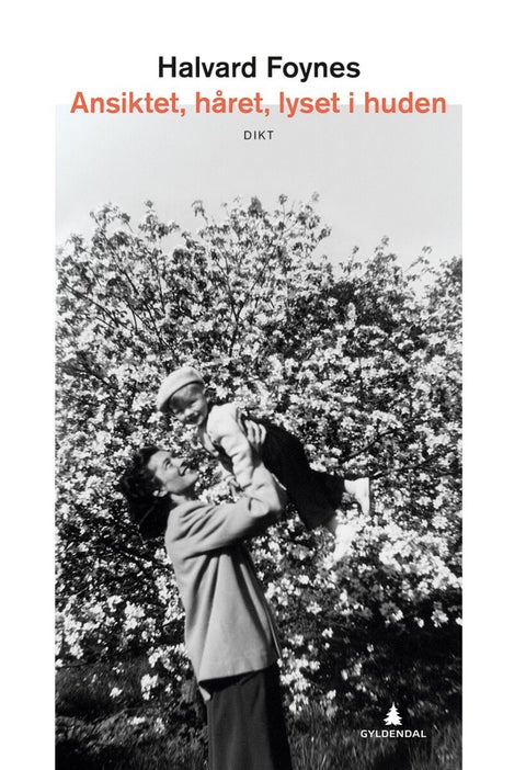 Ansiktet, håret, lyset i huden - dikt