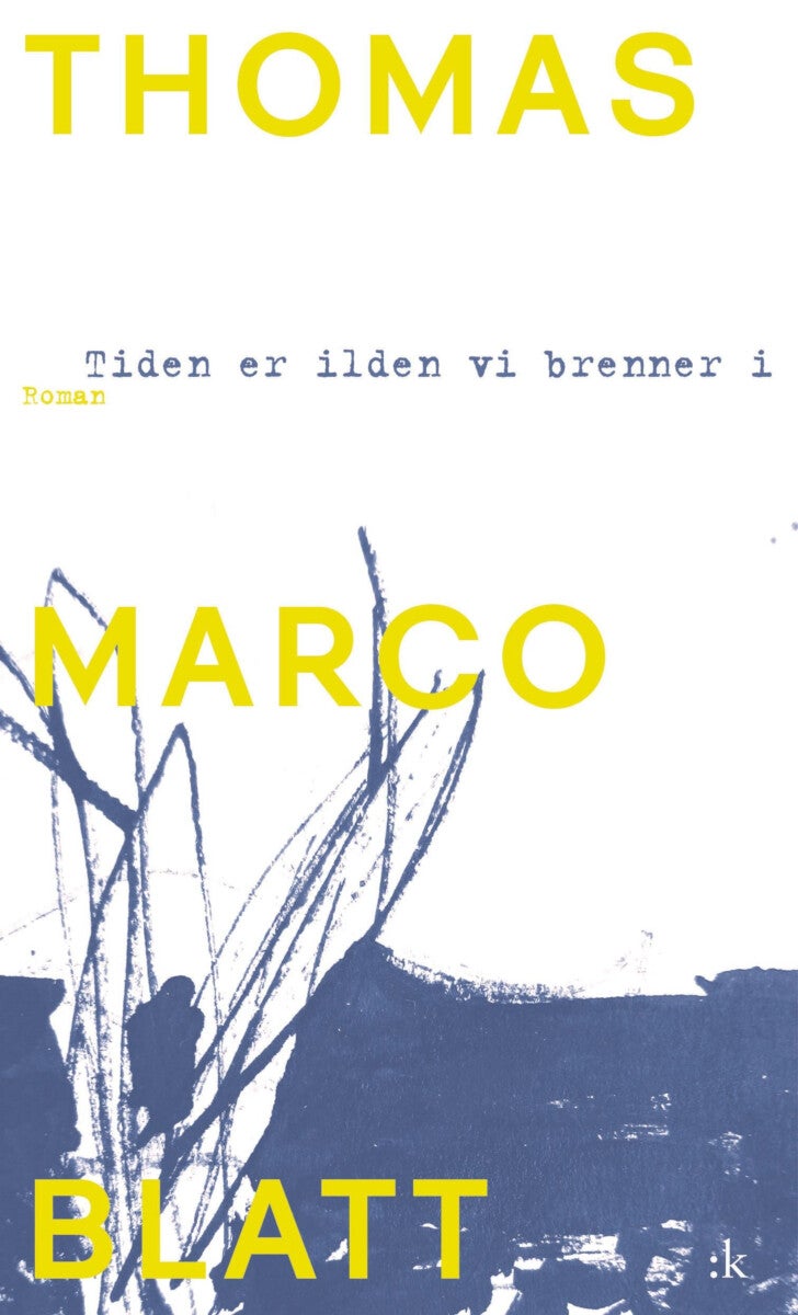 Tiden er ilden vi brenner i - roman