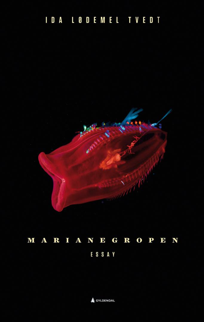 Marianegropen av Ida Lødemel Tvedt