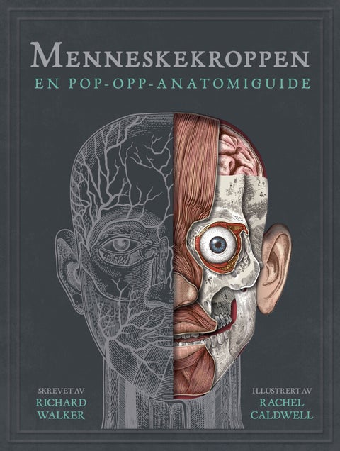 Menneskekroppen - et pop-opp-atlas over menneskekroppen