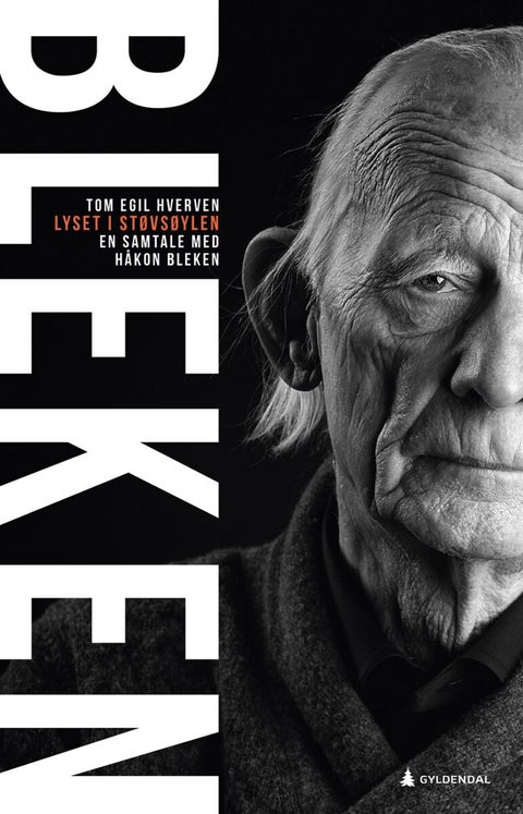 Lyset i støvsøylen - en samtale med Håkon Bleken