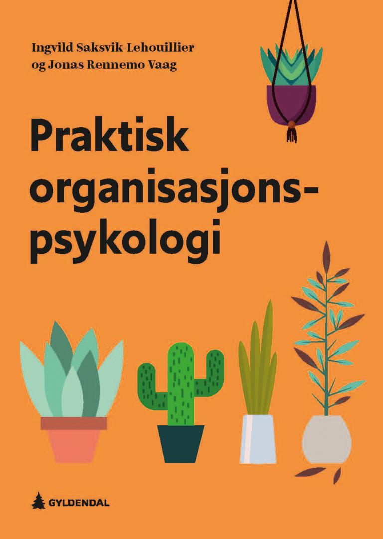 Bilde av Praktisk Organisasjonspsykologi Av Ingvild Saksvik-lehouillier, Jonas Rennemo Vaag