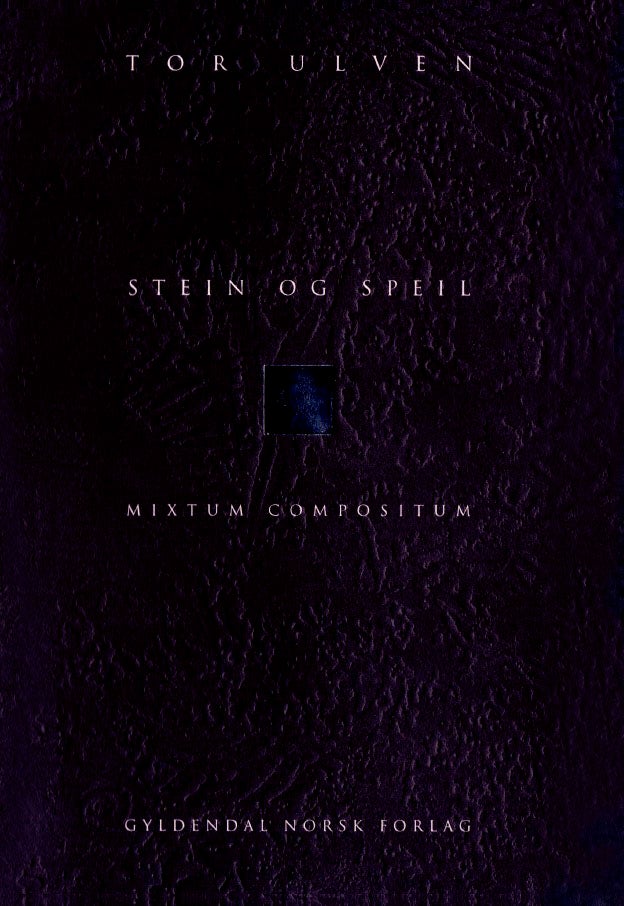 Stein og speil - mixtum compositum