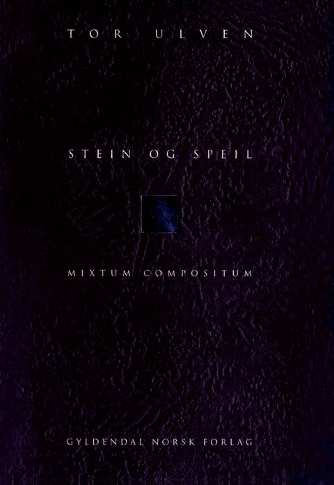 Stein og speil - mixtum compositum