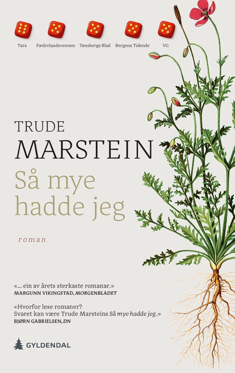 Så mye hadde jeg - roman