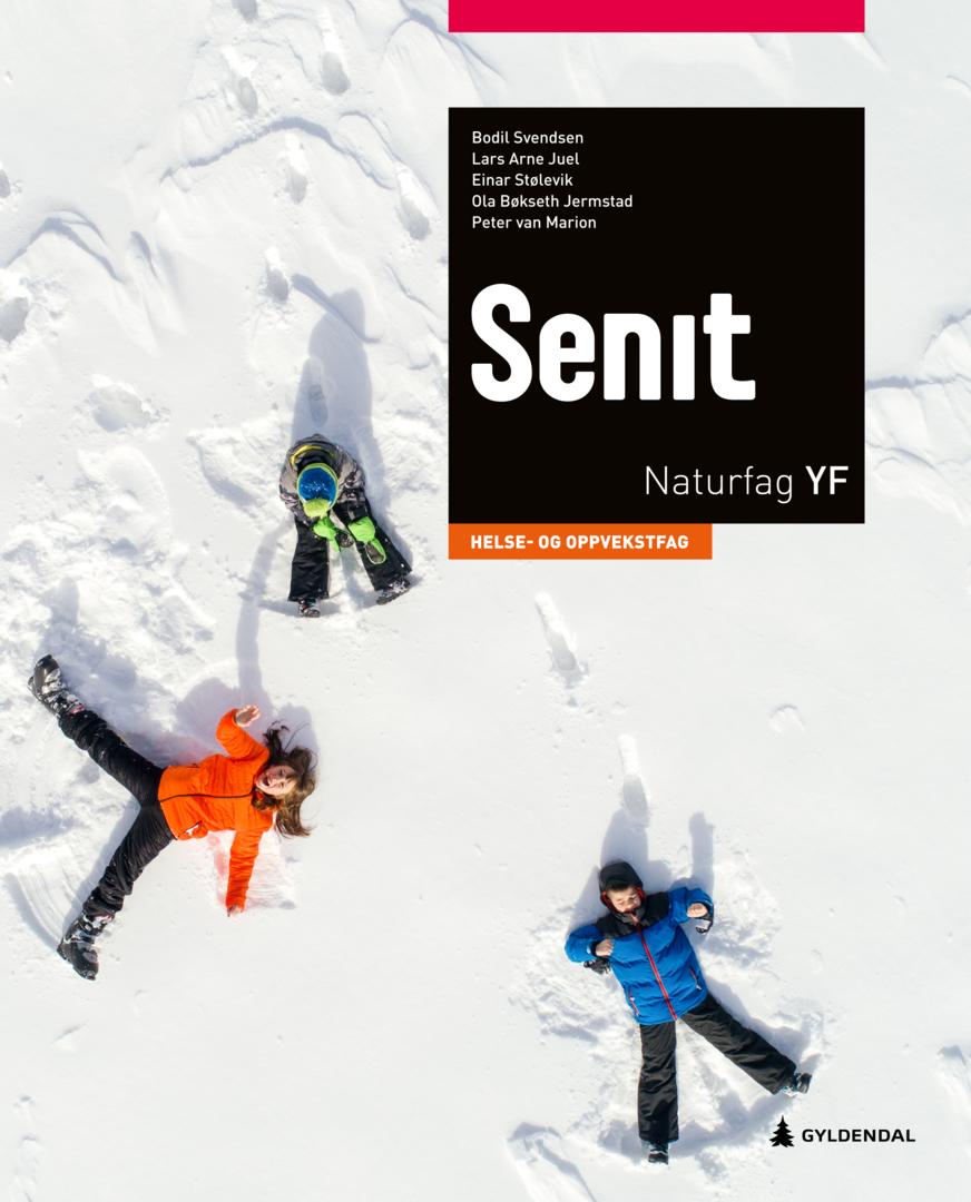 Senit av Ola Bøkseth Jermstad, Lars Arne Juel, Peter van Marion, Einar Stølevik, Bodil Svendsen