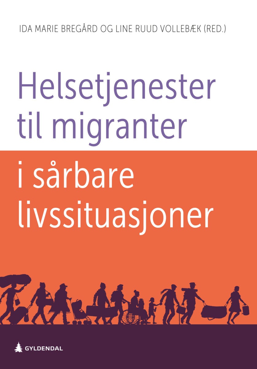Helsetjenester til migranter i sårbare livssituasjoner