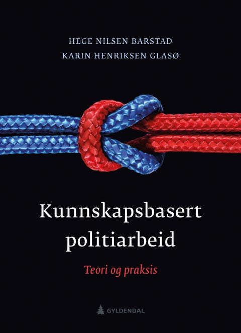 Kunnskapsbasert politiarbeid - teori og praksis