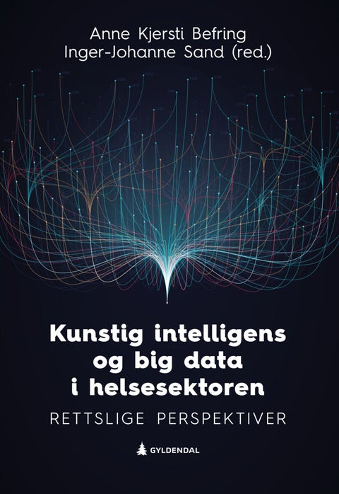 Kunstig intelligens og big data i helsesektoren - rettslige perspektiver