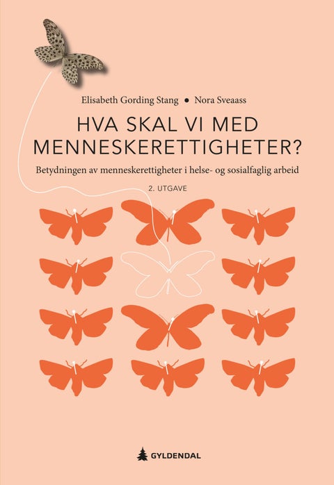 Hva skal vi med menneskerettigheter? - betydningen av menneskerettigheter i helse- og sosialfaglig arbeid