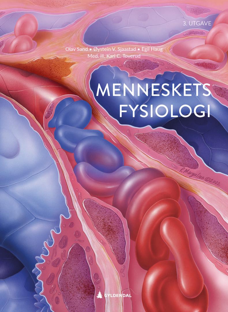 Bilde av Menneskets Fysiologi Av Olav Sand, Egil Haug, Øystein V. Sjaastad