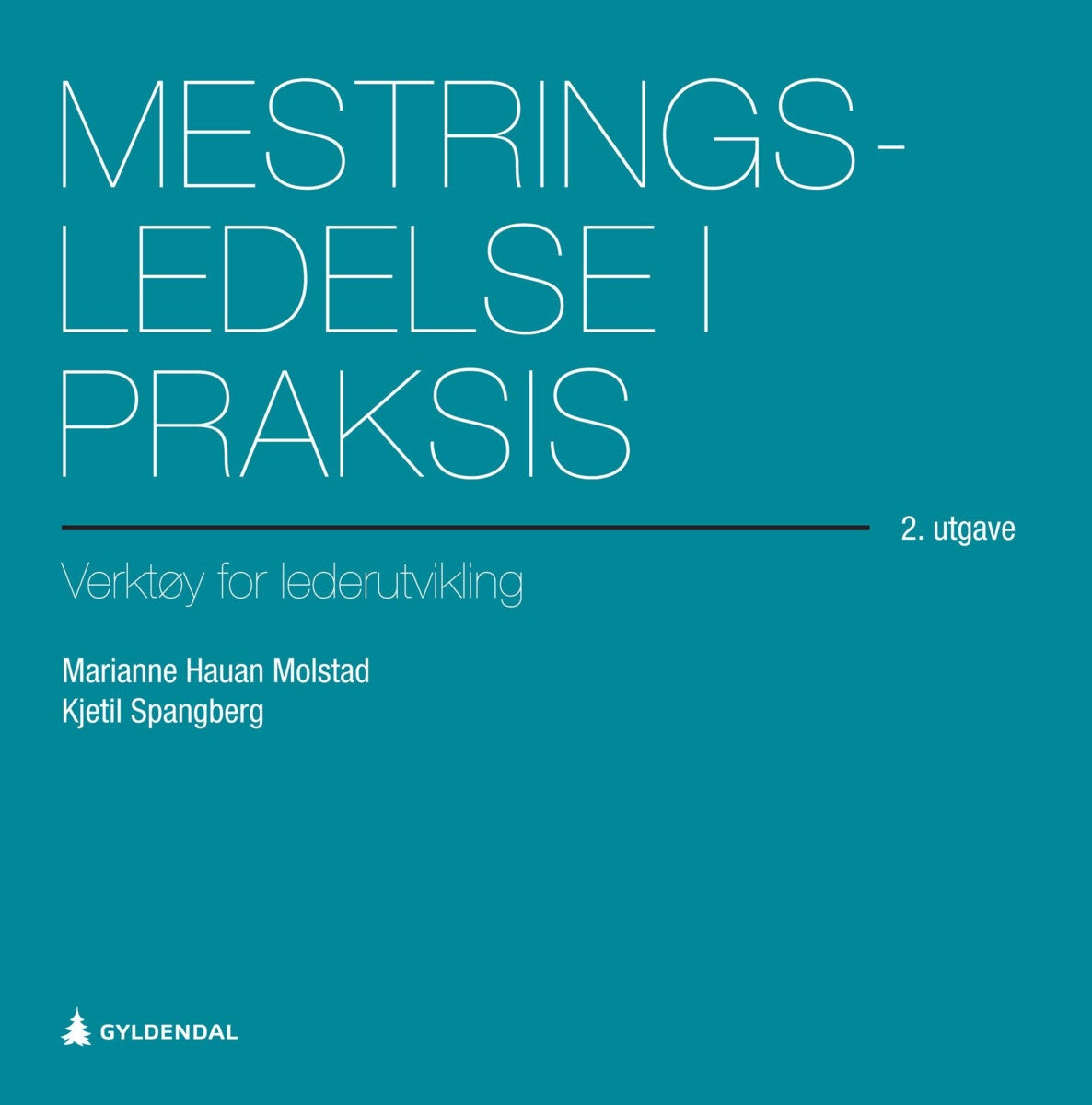 Mestringsledelse i praksis - verktøy for lederutvikling