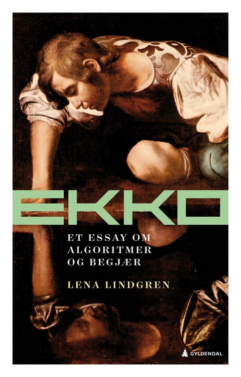 Ekko - et essay om algoritmer og begjær