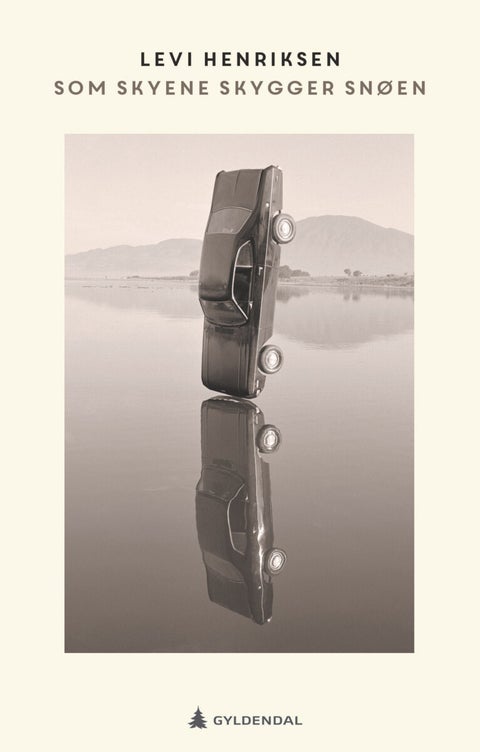 Som skyene skygger snøen - dikt langs veien