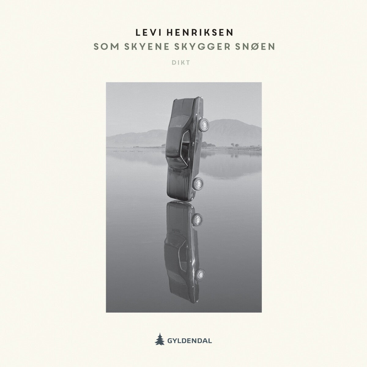 Som skyene skygger snøen - dikt langs veien