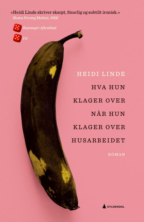 Hva hun klager over når hun klager over husarbeide - roman