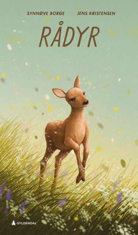 Rådyr - capreolus capreolus