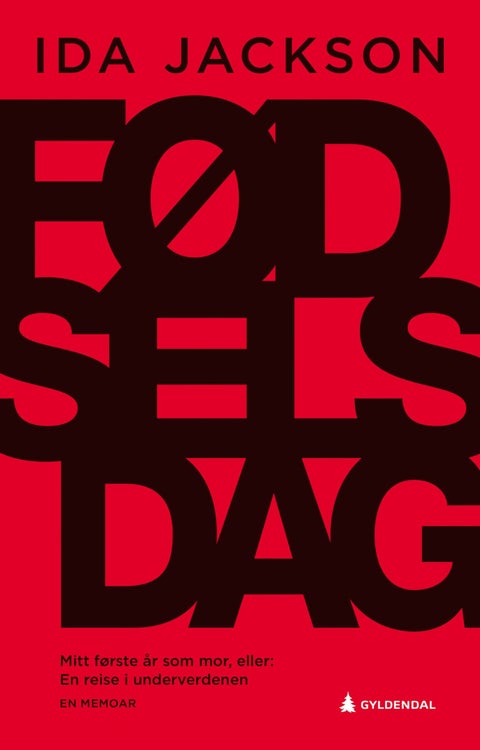 Fødselsdag - mitt første år som mor, eller En reise i underverdenen : en memoar