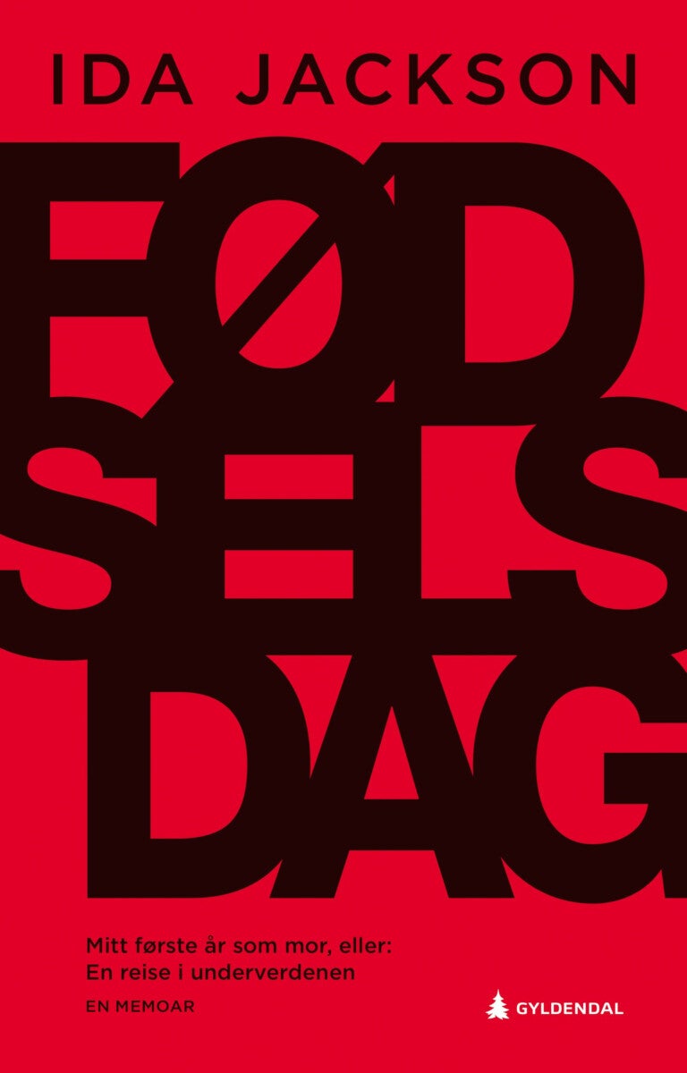 Fødselsdag - mitt første år som mor, eller En reise i underverdenen : en memoar