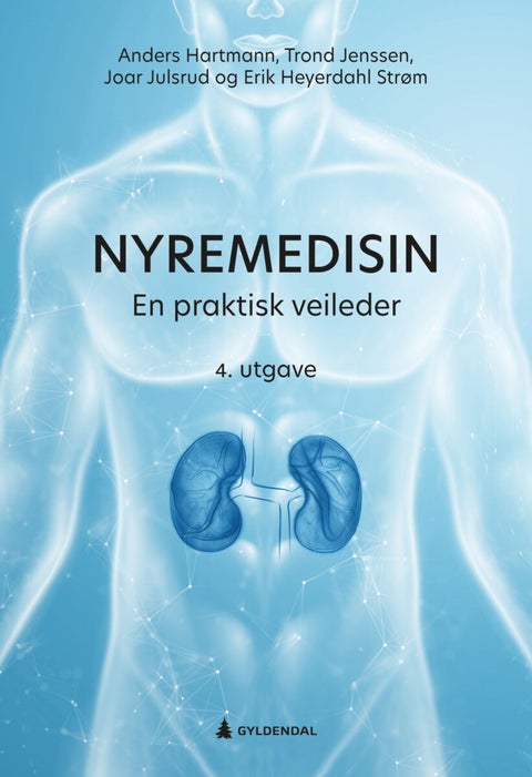 Nyremedisin - en praktisk veileder