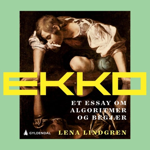 Ekko - et essay om algoritmer og begjær