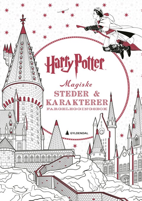 Harry Potter - magiske steder & karakterer