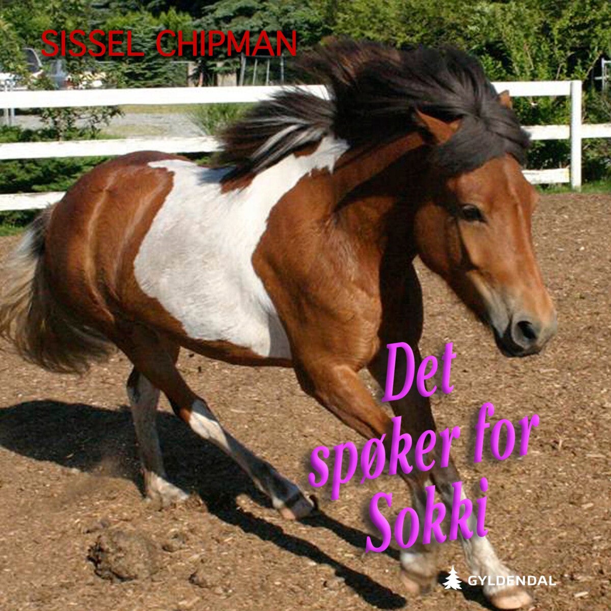 Det spøker for Sokki