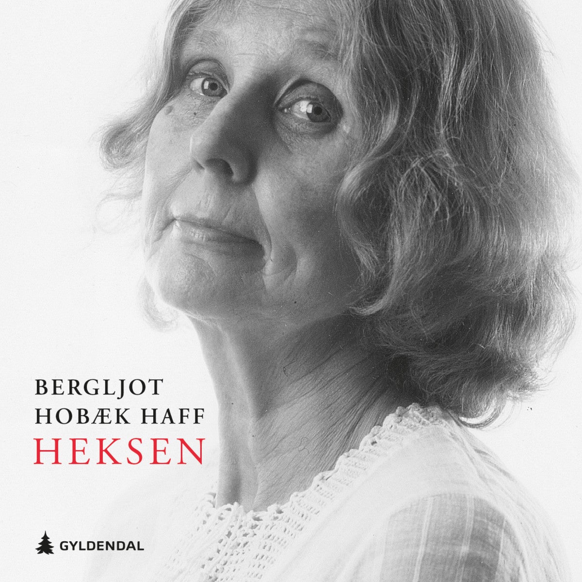 Heksen - opptegnelser fra en fjern fortid