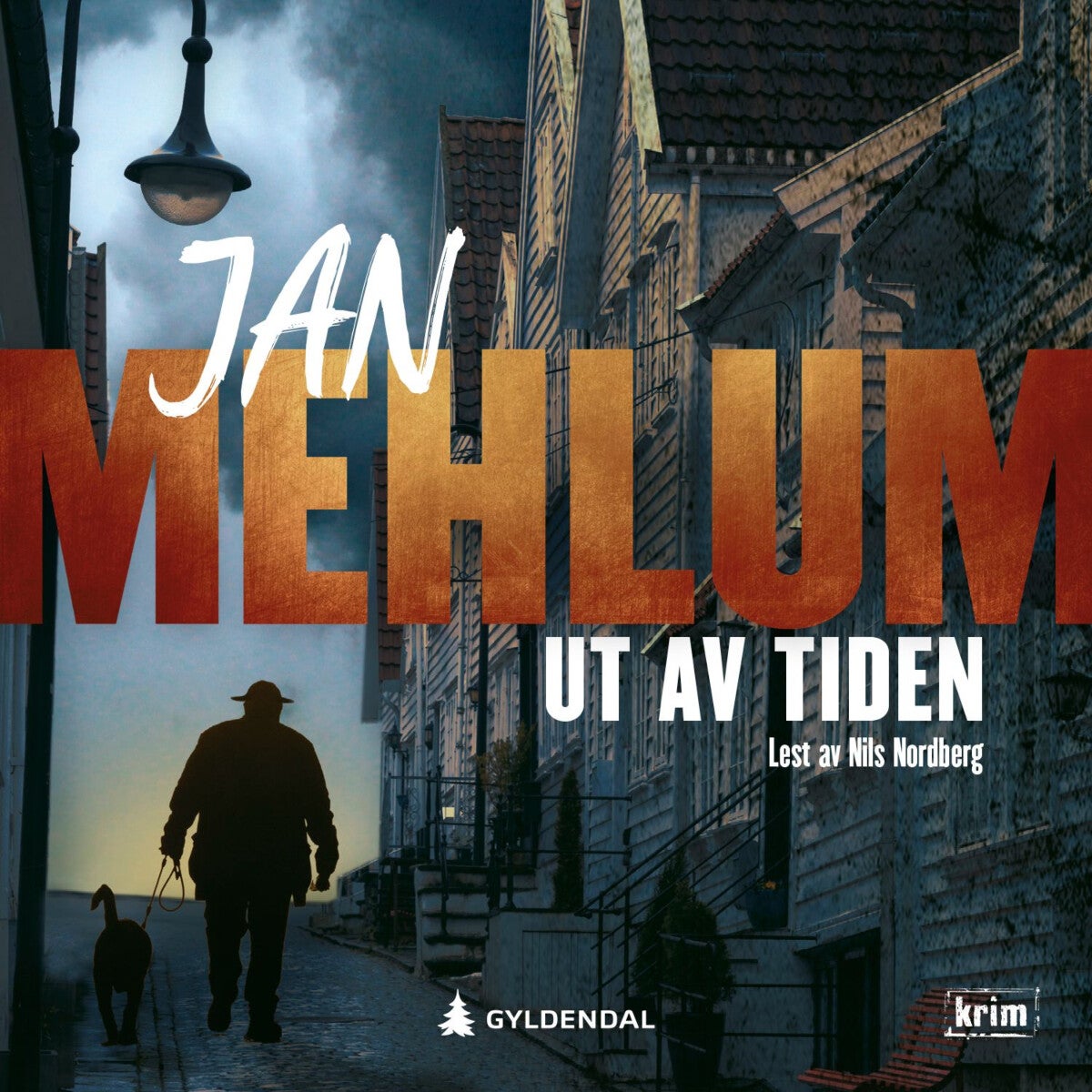 Ut av tiden - kriminalroman