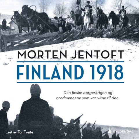 Finland 1918 - den finske borgerkrigen og nordmennene som var vitne til den