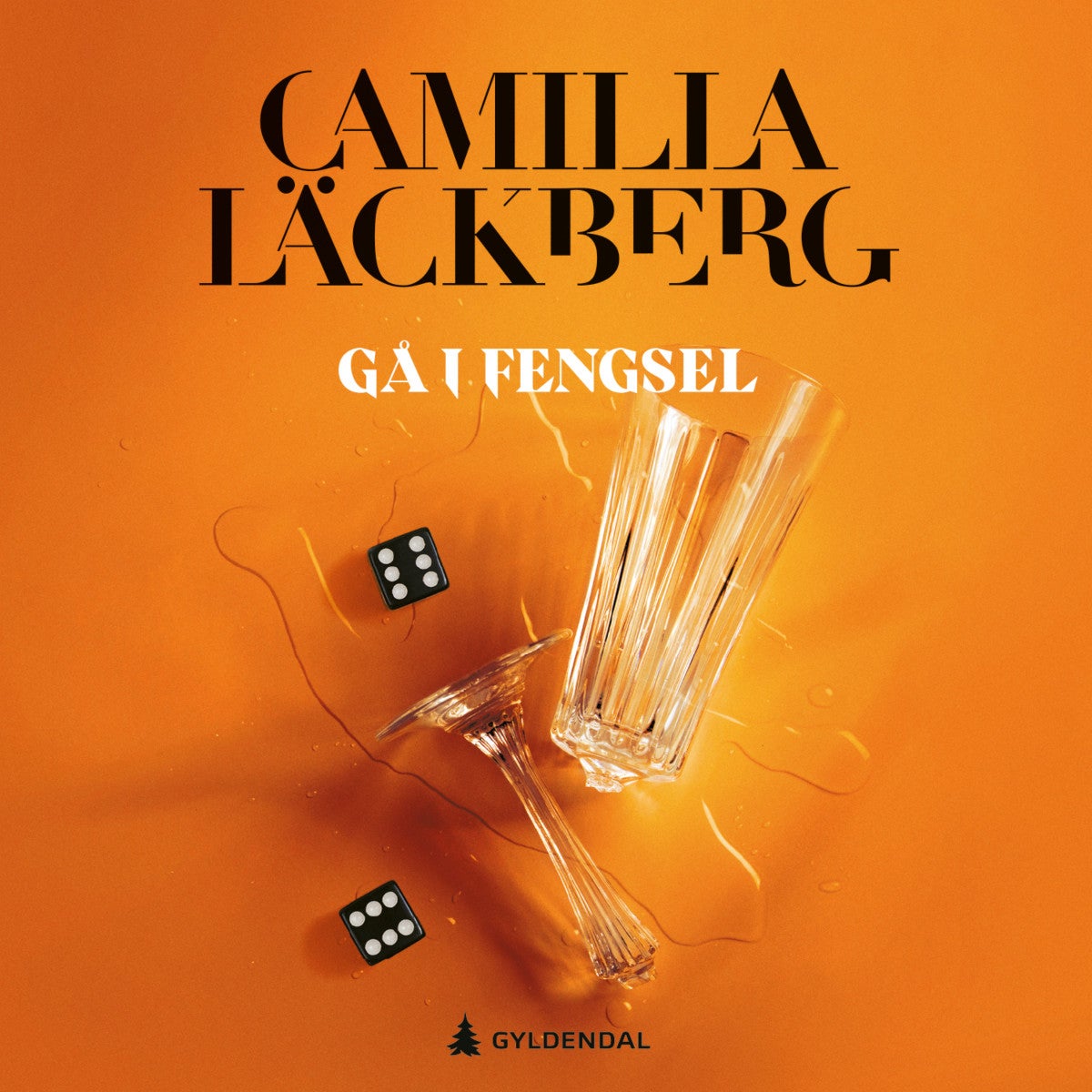 Gå i fengsel av Camilla Läckberg