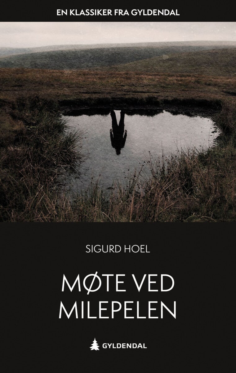 book cover thumbnail