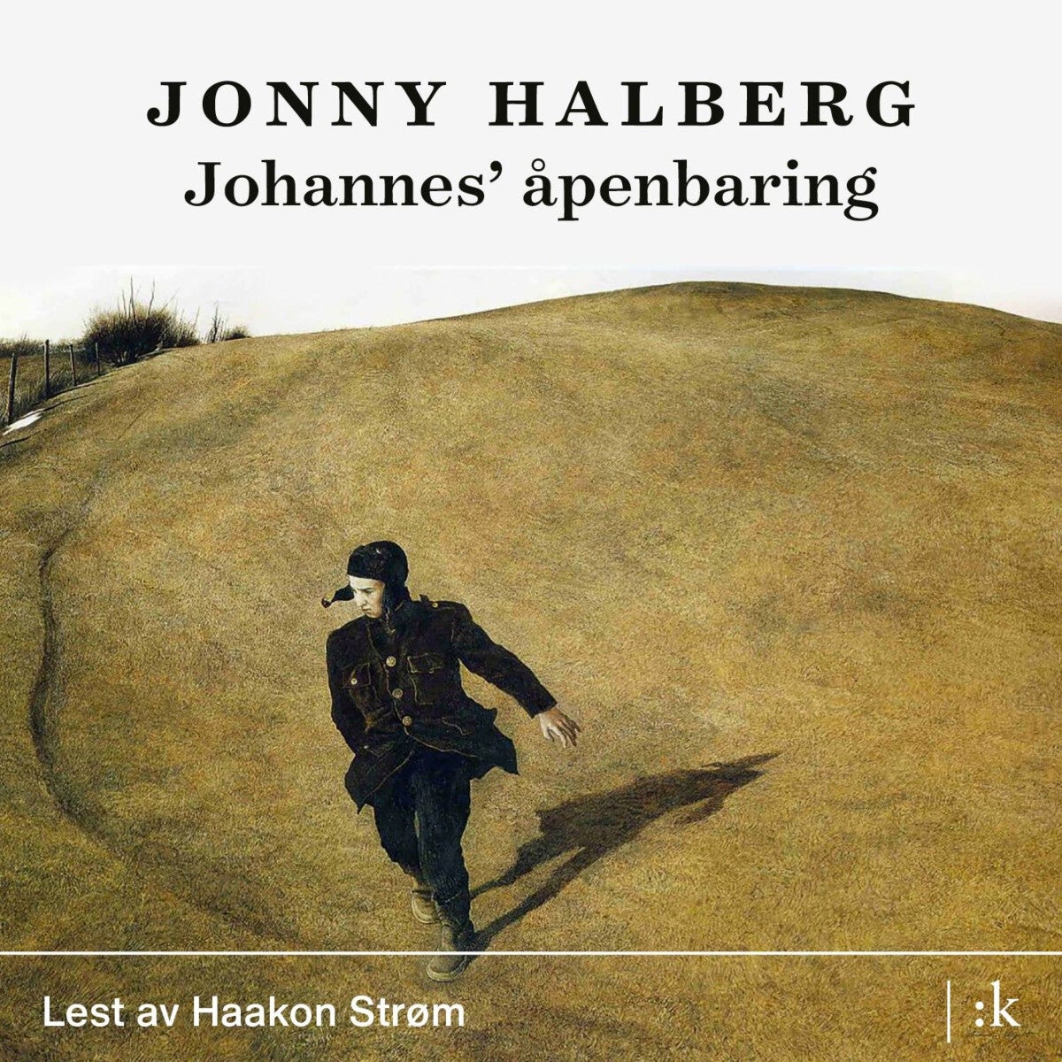 Johannes' åpenbaring - roman