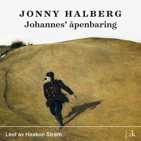 Johannes' åpenbaring - roman