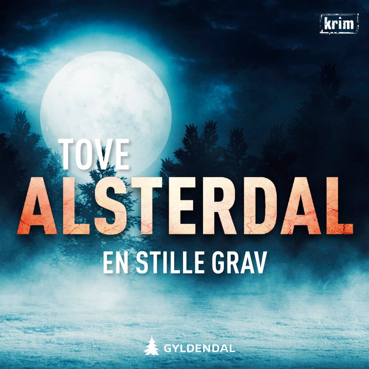 En stille grav - kriminalroman