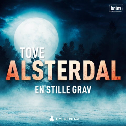 En stille grav - kriminalroman