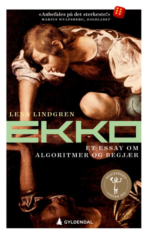 Ekko - et essay om algoritmer og begjær