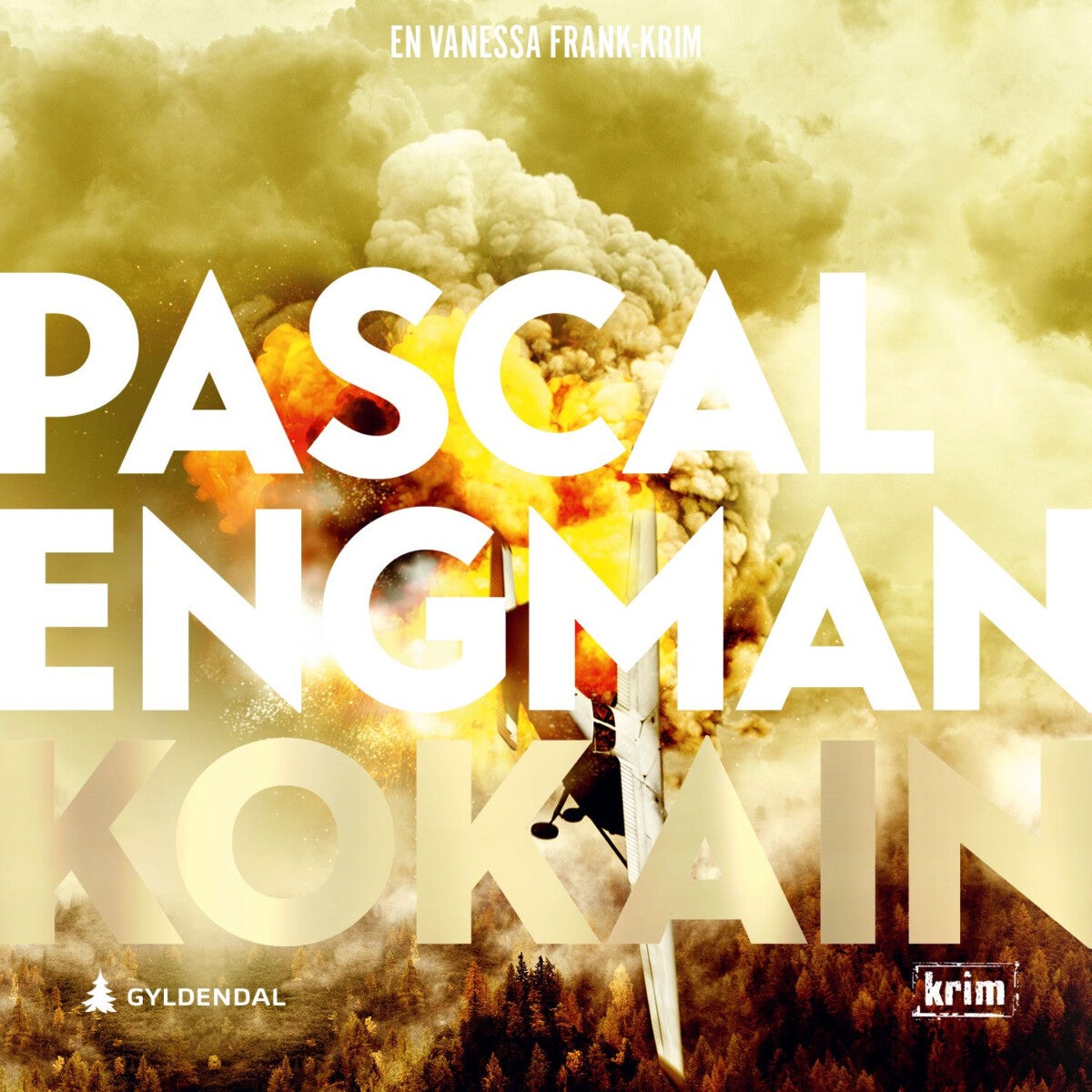 book cover thumbnail