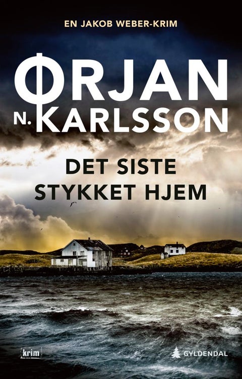 Det siste stykket hjem - kriminalroman