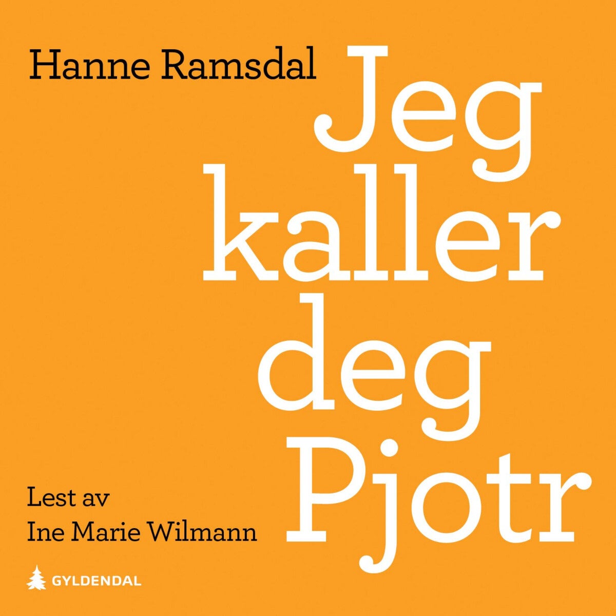 Jeg kaller deg Pjotr - roman