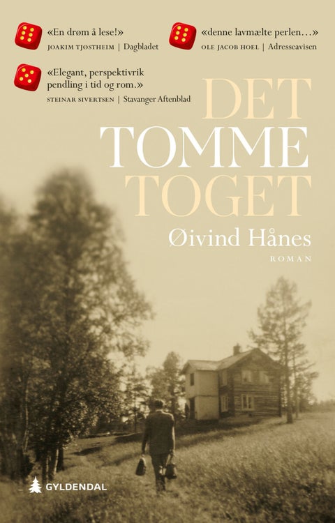 Det tomme toget - roman