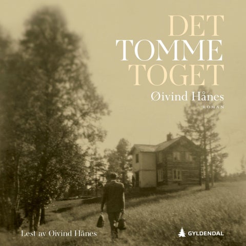 Det tomme toget - roman